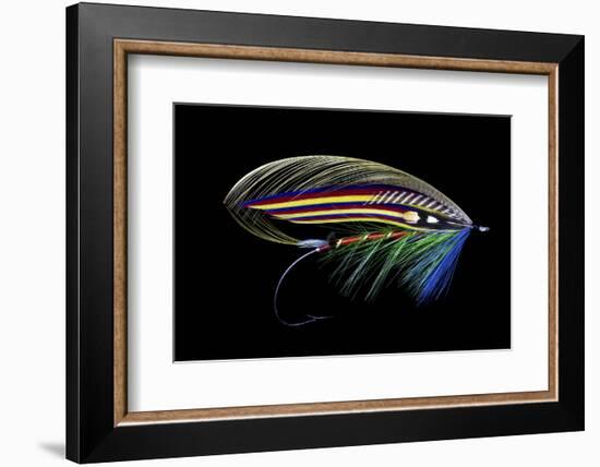 Atlantic Salmon Fly designs 'Clabby'-Darrell Gulin-Framed Photographic Print