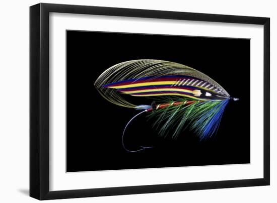 Atlantic Salmon Fly designs 'Clabby'-Darrell Gulin-Framed Photographic Print