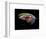 Atlantic Salmon Fly designs 'Graham's Fancy'-Darrell Gulin-Framed Photographic Print