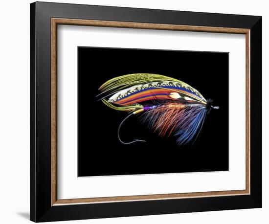 Atlantic Salmon Fly designs 'Graham's Fancy'-Darrell Gulin-Framed Photographic Print