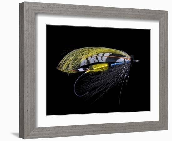 Atlantic Salmon Fly designs 'Highland Gem'-Darrell Gulin-Framed Photographic Print