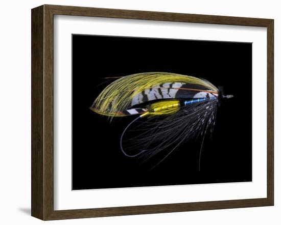 Atlantic Salmon Fly designs 'Highland Gem'-Darrell Gulin-Framed Photographic Print