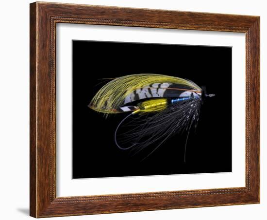 Atlantic Salmon Fly designs 'Highland Gem'-Darrell Gulin-Framed Photographic Print
