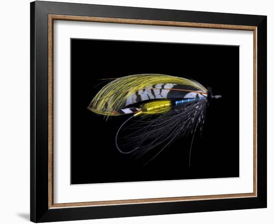 Atlantic Salmon Fly designs 'Highland Gem'-Darrell Gulin-Framed Photographic Print