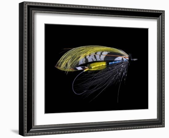 Atlantic Salmon Fly designs 'Highland Gem'-Darrell Gulin-Framed Photographic Print