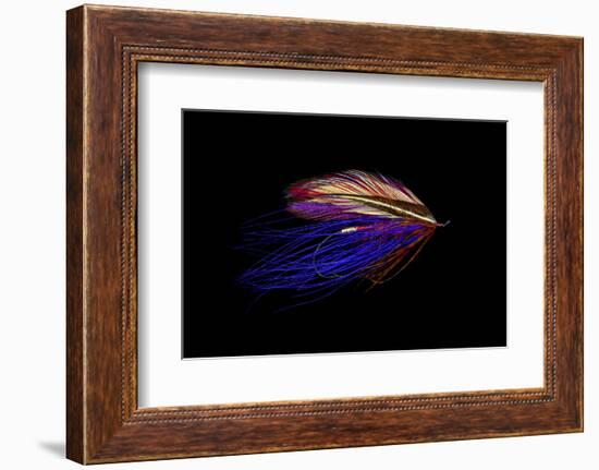 Atlantic Salmon Fly designs 'Iris Spey'-Darrell Gulin-Framed Photographic Print