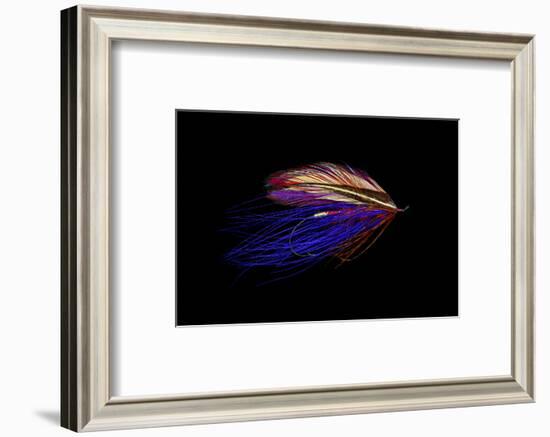 Atlantic Salmon Fly designs 'Iris Spey'-Darrell Gulin-Framed Photographic Print