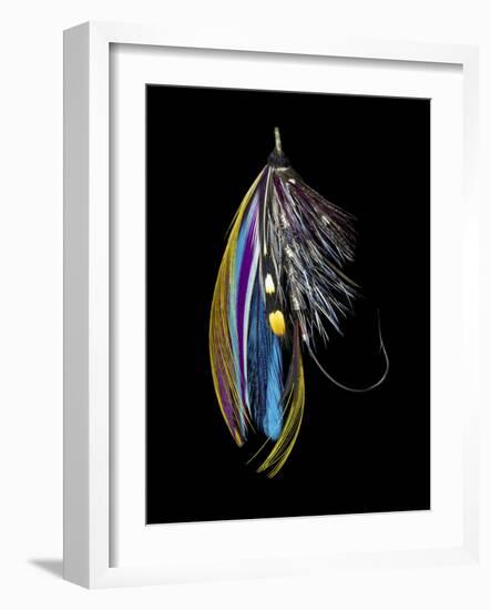Atlantic Salmon Fly designs 'Jay Body'-Darrell Gulin-Framed Photographic Print