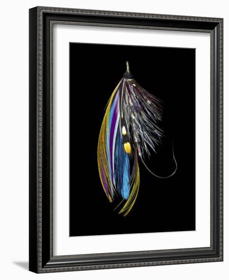 Atlantic Salmon Fly designs 'Jay Body'-Darrell Gulin-Framed Photographic Print