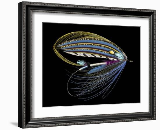 Atlantic Salmon Fly designs 'Sentinal'-Darrell Gulin-Framed Photographic Print