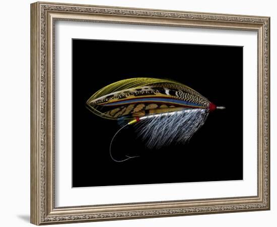 Atlantic Salmon Fly designs 'Silver Doctor'-Darrell Gulin-Framed Photographic Print