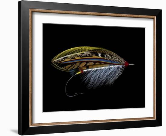 Atlantic Salmon Fly designs 'Silver Doctor'-Darrell Gulin-Framed Photographic Print