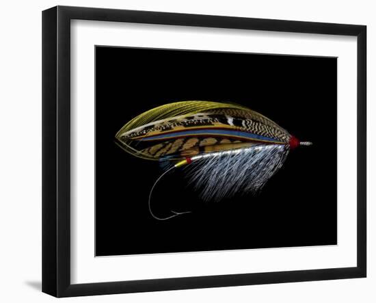 Atlantic Salmon Fly designs 'Silver Doctor'-Darrell Gulin-Framed Photographic Print