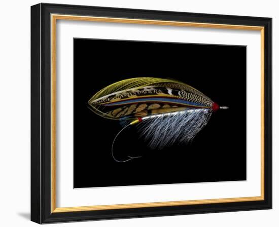 Atlantic Salmon Fly designs 'Silver Doctor'-Darrell Gulin-Framed Photographic Print