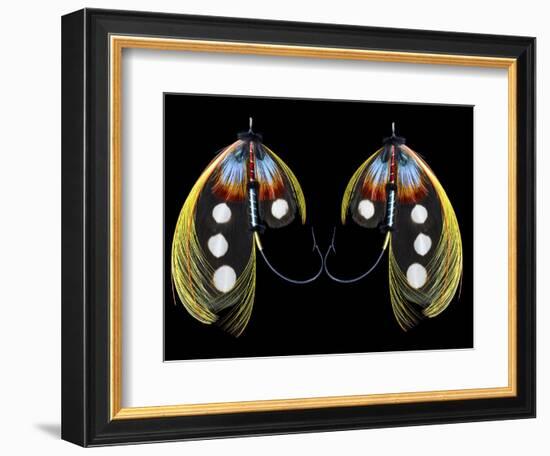 Atlantic Salmon Fly designs 'Western Illusion'-Darrell Gulin-Framed Photographic Print