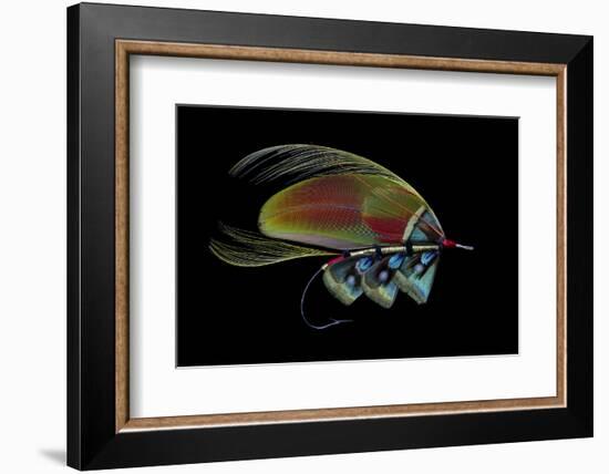 Atlantic Salmon Fly designs-Darrell Gulin-Framed Photographic Print