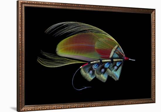 Atlantic Salmon Fly designs-Darrell Gulin-Framed Photographic Print