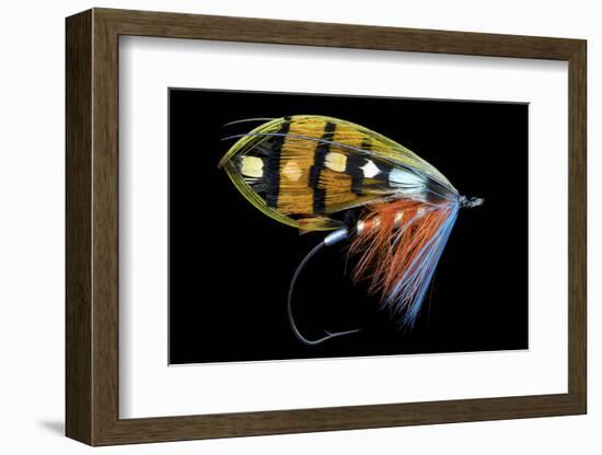 Atlantic Salmon Fly designs-Darrell Gulin-Framed Photographic Print