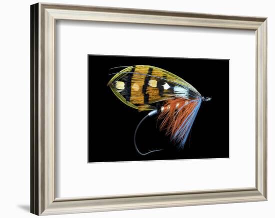 Atlantic Salmon Fly designs-Darrell Gulin-Framed Photographic Print