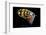 Atlantic Salmon Fly designs-Darrell Gulin-Framed Photographic Print