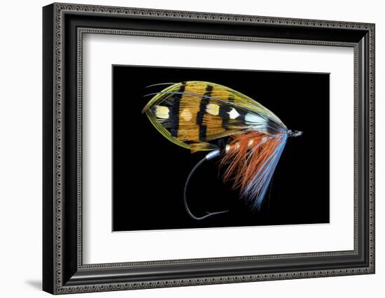 Atlantic Salmon Fly designs-Darrell Gulin-Framed Photographic Print