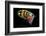 Atlantic Salmon Fly designs-Darrell Gulin-Framed Photographic Print