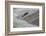 Atlantic Salmon (Salmo Salar) Leaping Up the Cauld at Philphaugh Centre Near Selkirk, Scotland, UK-Rob Jordan-Framed Photographic Print