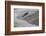 Atlantic Salmon (Salmo Salar) Leaping Up the Cauld at Philphaugh Centre Near Selkirk, Scotland, UK-Rob Jordan-Framed Photographic Print