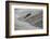 Atlantic Salmon (Salmo Salar) Leaping Up the Cauld at Philphaugh Centre Near Selkirk, Scotland, UK-Rob Jordan-Framed Photographic Print