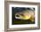 Atlantic Salmon (Salmo Salar) Male, River Orkla, Norway, September 2008-Lundgren-Framed Photographic Print