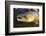 Atlantic Salmon (Salmo Salar) Male, River Orkla, Norway, September 2008-Lundgren-Framed Photographic Print