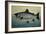 Atlantic Salmon-Porter Design-Framed Giclee Print