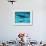 Atlantic Spotted Dolphin and Shadow on Seabed, Bahamas-Todd Pusser-Framed Photographic Print displayed on a wall