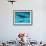 Atlantic Spotted Dolphin and Shadow on Seabed, Bahamas-Todd Pusser-Framed Photographic Print displayed on a wall