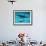 Atlantic Spotted Dolphin and Shadow on Seabed, Bahamas-Todd Pusser-Framed Photographic Print displayed on a wall