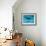 Atlantic Spotted Dolphin and Shadow on Seabed, Bahamas-Todd Pusser-Framed Photographic Print displayed on a wall