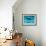 Atlantic Spotted Dolphin and Shadow on Seabed, Bahamas-Todd Pusser-Framed Photographic Print displayed on a wall