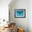 Atlantic Spotted Dolphin and Shadow on Seabed, Bahamas-Todd Pusser-Framed Photographic Print displayed on a wall