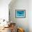 Atlantic Spotted Dolphin and Shadow on Seabed, Bahamas-Todd Pusser-Framed Photographic Print displayed on a wall