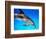 Atlantic Spotted Dolphin-Bill Varie-Framed Photographic Print