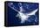 Atlantic White Marlin Big Game Sport Fishing over Blue Ocean Saltwater-holbox-Framed Premier Image Canvas