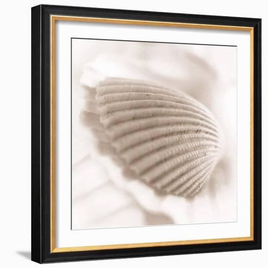 Atlantis 3-Alan Blaustein-Framed Photographic Print