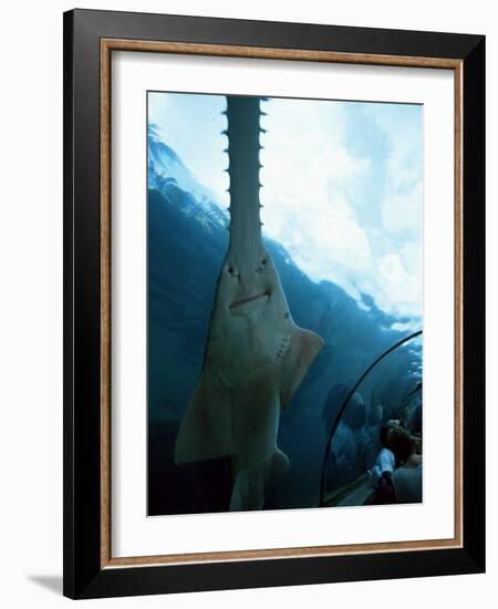 Atlantis, Paradise Island, Bahamas West Indies, Central America-Ethel Davies-Framed Photographic Print