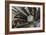 ATLAS Detector, CERN-David Parker-Framed Photographic Print