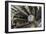 ATLAS Detector, CERN-David Parker-Framed Photographic Print