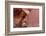 Atlatl Rock, Valley of Fire State Park, Overton, Nevada, United States of America, North America-Richard Cummins-Framed Photographic Print