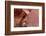 Atlatl Rock, Valley of Fire State Park, Overton, Nevada, United States of America, North America-Richard Cummins-Framed Photographic Print