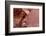 Atlatl Rock, Valley of Fire State Park, Overton, Nevada, United States of America, North America-Richard Cummins-Framed Photographic Print