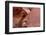 Atlatl Rock, Valley of Fire State Park, Overton, Nevada, United States of America, North America-Richard Cummins-Framed Photographic Print