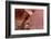 Atlatl Rock, Valley of Fire State Park, Overton, Nevada, United States of America, North America-Richard Cummins-Framed Photographic Print